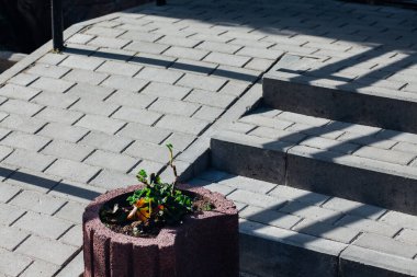 Sokak merdiveni ayrıntıları kaldırım taşlarıyla, gündüz vakti açık havada çekilmiş. 