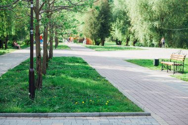 Gündüz vakti şehir parkında yürüyüş yolu taşları 