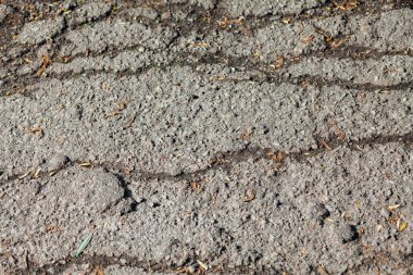 Çatlaklı asfalt yol. Arkaplan dokusu