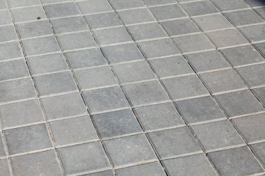 Gündüz vakti şehir parkında yürüyüş yolu taşları 