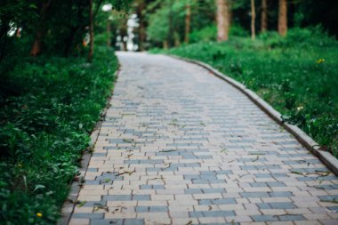 Yeşil bitkilerle dolu bahçe taşı patikası, gündüz vakti tuğla kaldırım. 