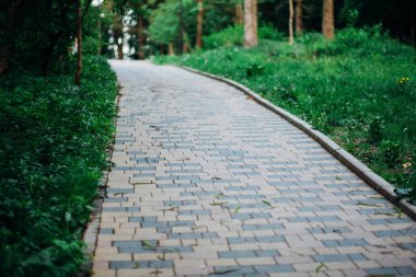 Yeşil bitkilerle dolu bahçe taşı patikası, gündüz vakti tuğla kaldırım. 