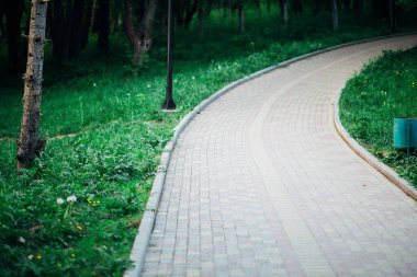 Yeşil bitkilerle dolu bahçe taşı patikası, gündüz vakti tuğla kaldırım. 