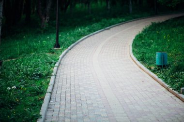Yeşil bitkilerle dolu bahçe taşı patikası, gündüz vakti tuğla kaldırım. 