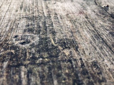 Eski ahşap tahta. Ahşap dokunun yakınlaştırılması