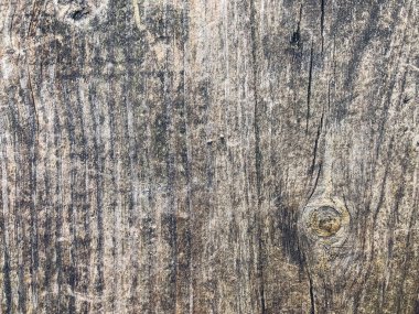 Eski ahşap tahta. Ahşap dokunun yakınlaştırılması