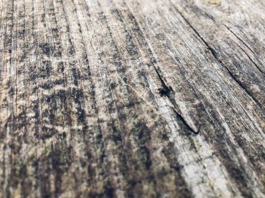 Eski ahşap tahta. Ahşap dokunun yakınlaştırılması