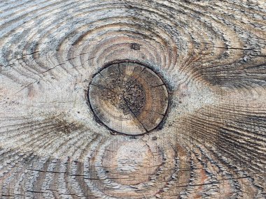 Eski ahşap tahta. Ahşap dokunun yakınlaştırılması