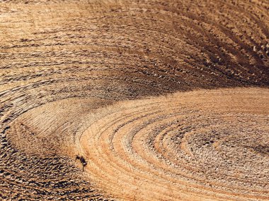 Eski ahşap tahta. Ahşap dokunun yakınlaştırılması