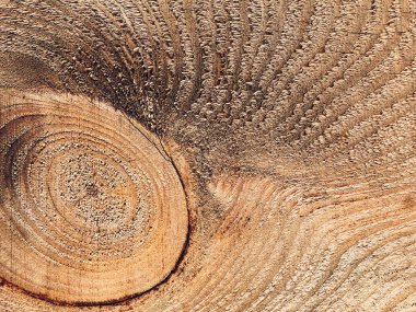 Eski ahşap tahta. Ahşap dokunun yakınlaştırılması