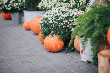 Caddedeki bir çiçekçide balkabağı ve çiçeklerle sonbahar süslemesi