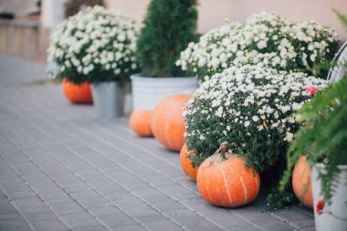Caddedeki bir çiçekçide balkabağı ve çiçeklerle sonbahar süslemesi