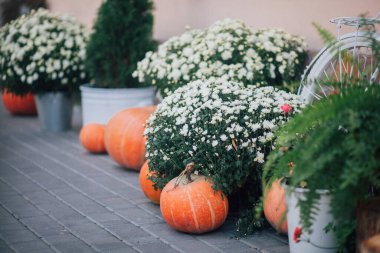 Caddedeki bir çiçekçide balkabağı ve çiçeklerle sonbahar süslemesi