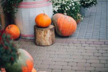 Caddedeki bir çiçekçide balkabağı ve çiçeklerle sonbahar süslemesi