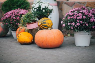 Caddedeki bir çiçekçide balkabağı ve çiçeklerle sonbahar süslemesi