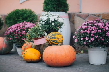 Caddedeki bir çiçekçide balkabağı ve çiçeklerle sonbahar süslemesi