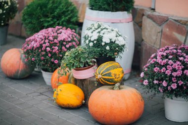 Caddedeki bir çiçekçide balkabağı ve çiçeklerle sonbahar süslemesi