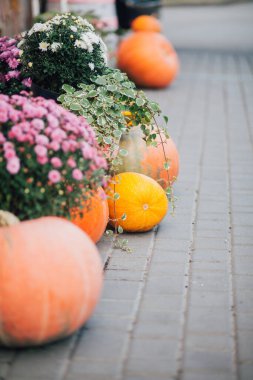 Caddedeki bir çiçekçide balkabağı ve çiçeklerle sonbahar süslemesi