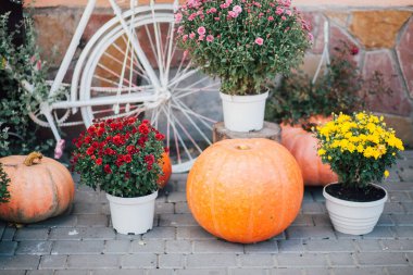 Caddedeki bir çiçekçide balkabağı ve çiçeklerle sonbahar süslemesi
