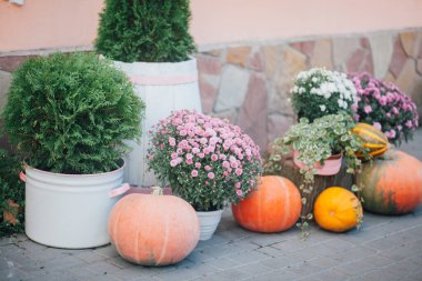 Caddedeki bir çiçekçide balkabağı ve çiçeklerle sonbahar süslemesi