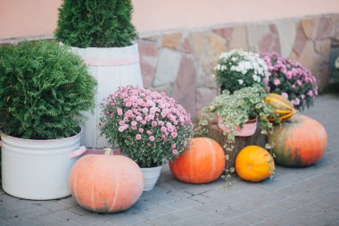 Caddedeki bir çiçekçide balkabağı ve çiçeklerle sonbahar süslemesi