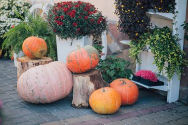 Caddedeki bir çiçekçide balkabağı ve çiçeklerle sonbahar süslemesi