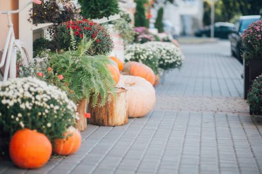 Caddedeki bir çiçekçide balkabağı ve çiçeklerle sonbahar süslemesi