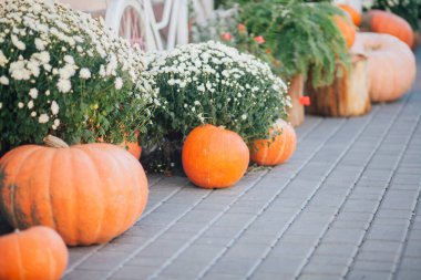 Caddedeki bir çiçekçide balkabağı ve çiçeklerle sonbahar süslemesi