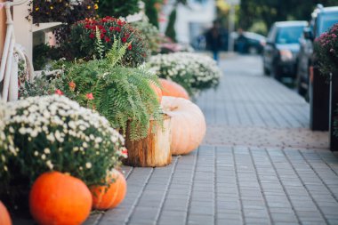 Caddedeki bir çiçekçide balkabağı ve çiçeklerle sonbahar süslemesi