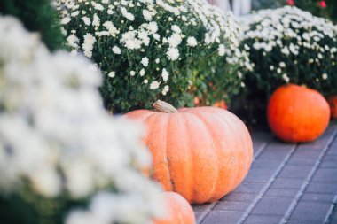 Caddedeki bir çiçekçide balkabağı ve çiçeklerle sonbahar süslemesi