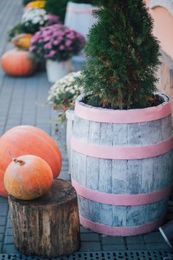 Caddedeki bir çiçekçide balkabağı ve çiçeklerle sonbahar süslemesi