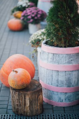 Caddedeki bir çiçekçide balkabağı ve çiçeklerle sonbahar süslemesi