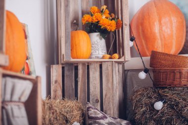 Oda güzel sonbahar süslemeleri