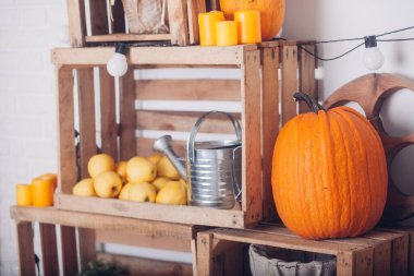 Oda güzel sonbahar süslemeleri