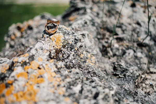 Anillos Boda Dorados Piedra Primer Plano — Foto de Stock