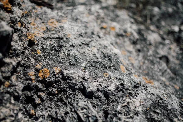 Natural Stone Texture Rock Surface Nature Background — Stock Photo, Image