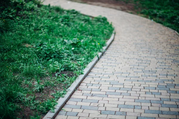 Kamienna Ścieżka Ogrodowa Zielonymi Roślinami Ceglany Chodnik Dzień — Zdjęcie stockowe