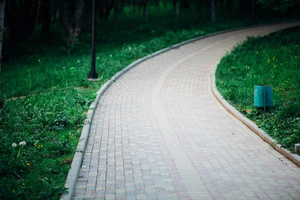 Yeşil bitkilerle dolu bahçe taşı patikası, gündüz vakti tuğla kaldırım. 