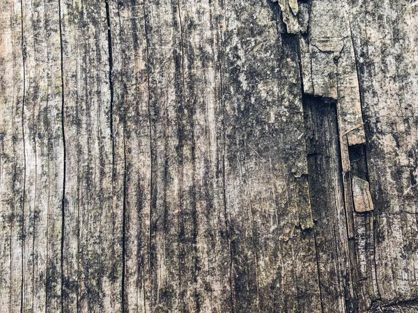 Una Vieja Tabla Madera Primer Plano Textura Madera —  Fotos de Stock