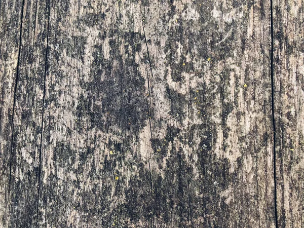 나무판 나무의 질감을 봉합하는 — 스톡 사진