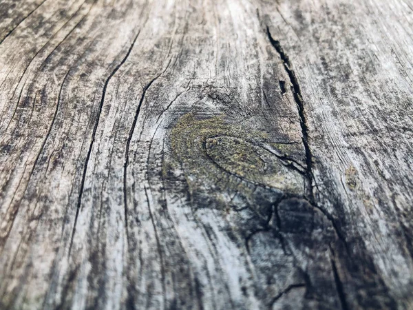 旧木板 木制质感的衬垫 — 图库照片