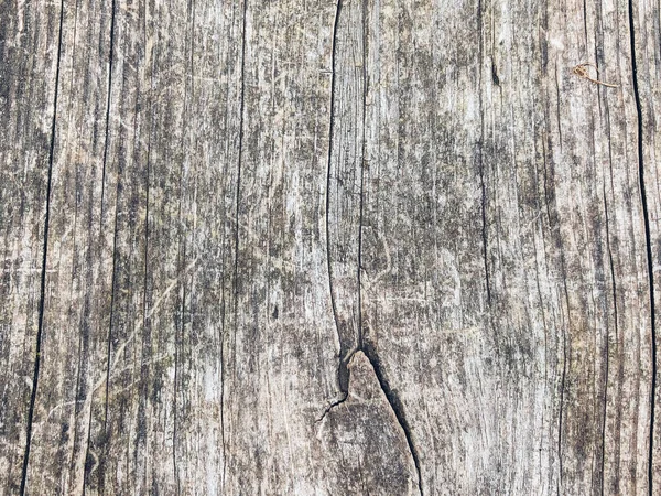 Oude Houten Plank Close Van Houten Textuur — Stockfoto