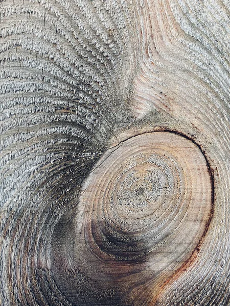 Old Wooden Board Closeup Wooden Texture — Stock Photo, Image