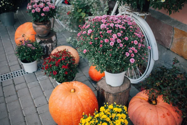 Jesienna Dekoracja Dyniami Kwiatami Kwiaciarni Ulicy — Zdjęcie stockowe