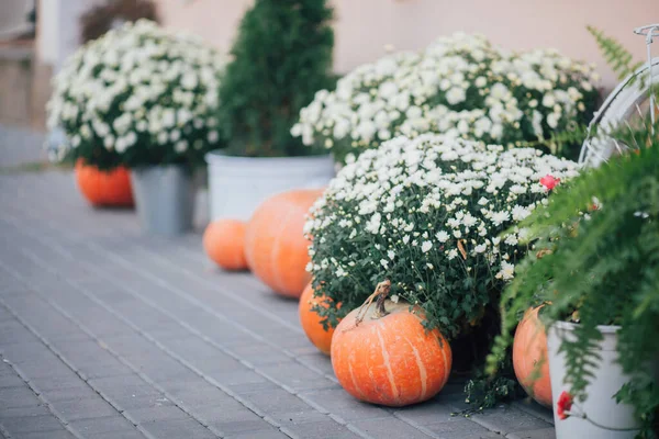 Caddedeki bir çiçekçide balkabağı ve çiçeklerle sonbahar süslemesi