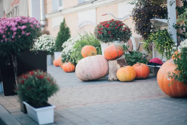 通りの花屋でカボチャや花と秋の装飾 — ストック写真