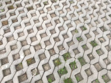 Gündüzleri şık bahçede çeşitli renklerde birbirine yakın köşeler.