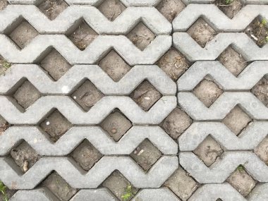 Gündüzleri şık bahçede çeşitli renklerde birbirine yakın köşeler.