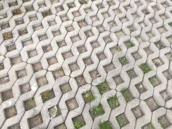 Pavés Imbriqués Différentes Couleurs Dans Jardin Chic Journée — Photo