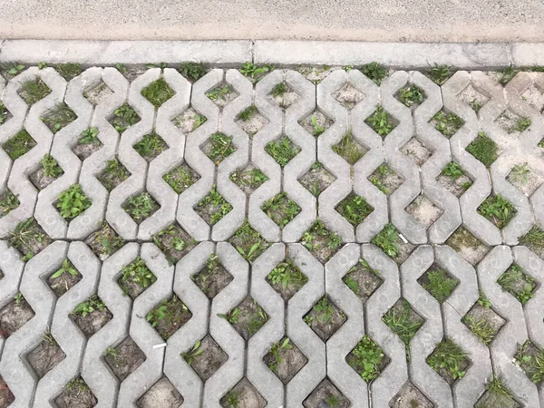 Pavés Imbriqués Différentes Couleurs Dans Jardin Chic Journée — Photo